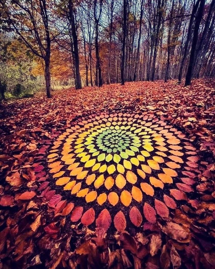 PinftagramMP's tweet image. Featuring "Natural Beauty" by Crypto Arising🔥

Beautiful photos like this one from Crypto Arising can be transformed into NFTs on our platform. Join PINFTAGRAM and mint memories.

👉pinftagram.com/indivtoken?tok…

🌐linktr.ee/pinftagram