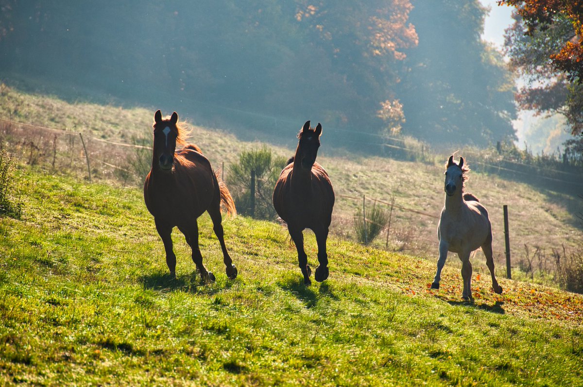 Pit_Saar's tweet image. Schnell nochmal Sonne tanken bevor die neue verregnete Woche beginnt.

#Spätherbst 🍂