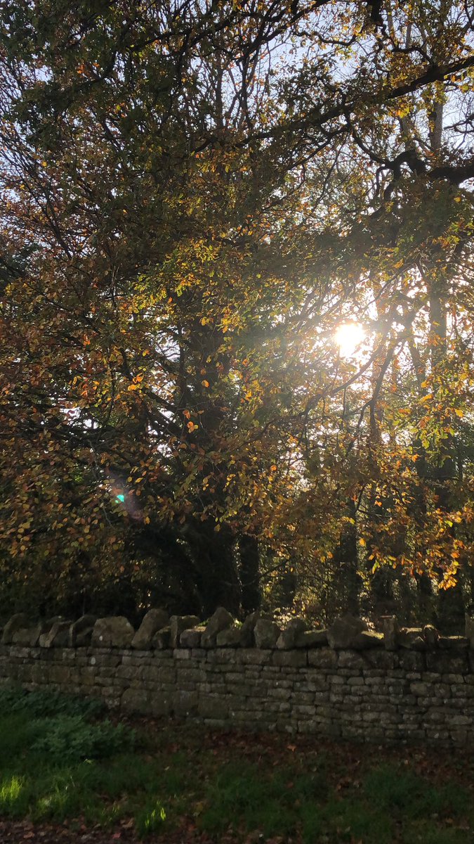 jostark6's tweet image. Shorts out for a #winterride that could almost be an early #springride - did we skip winter!? 🤷‍♂️🚴