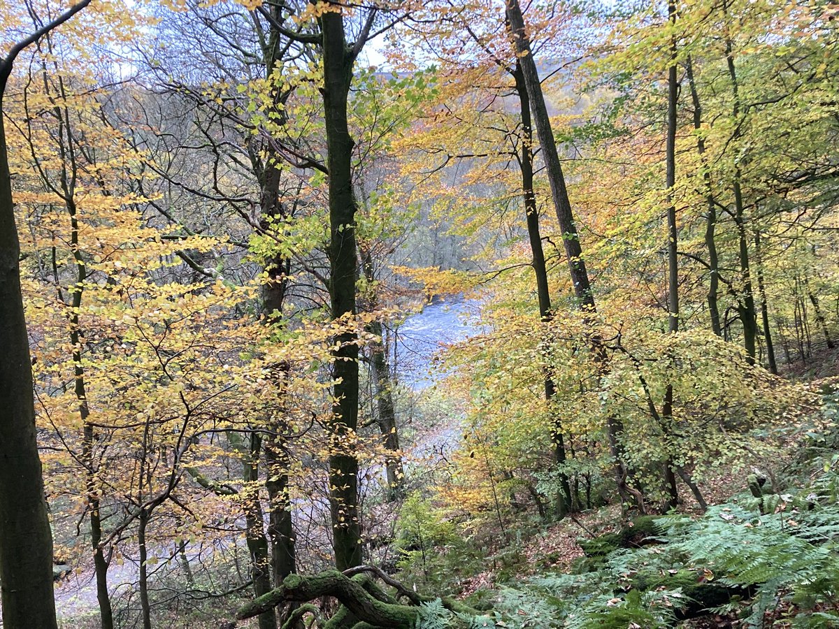 Angela Schofield tweet media