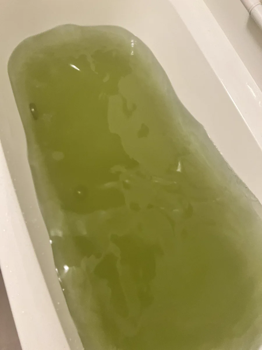 入浴剤を2つ混ぜたら…池の色みたいになってしまったｗ