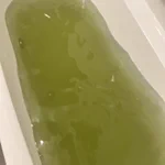 入浴剤を2つ混ぜたら…池の色みたいになってしまったｗ