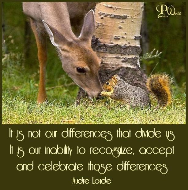 <a href="/Yoda4ever/">𝕐o̴g̴</a> Humans could learn something from animals!! 💙