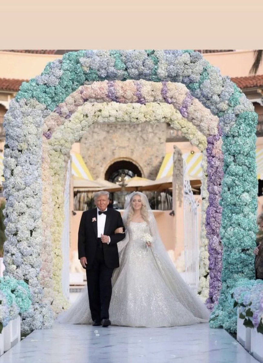 My father loves me so much he spent five thousand dollars on cauliflower for my wedding tunnel.