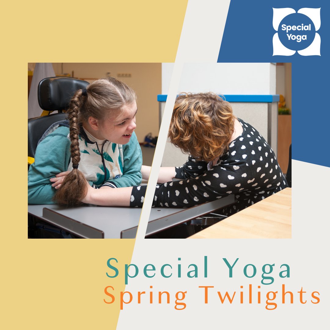 Special Yoga tweet media