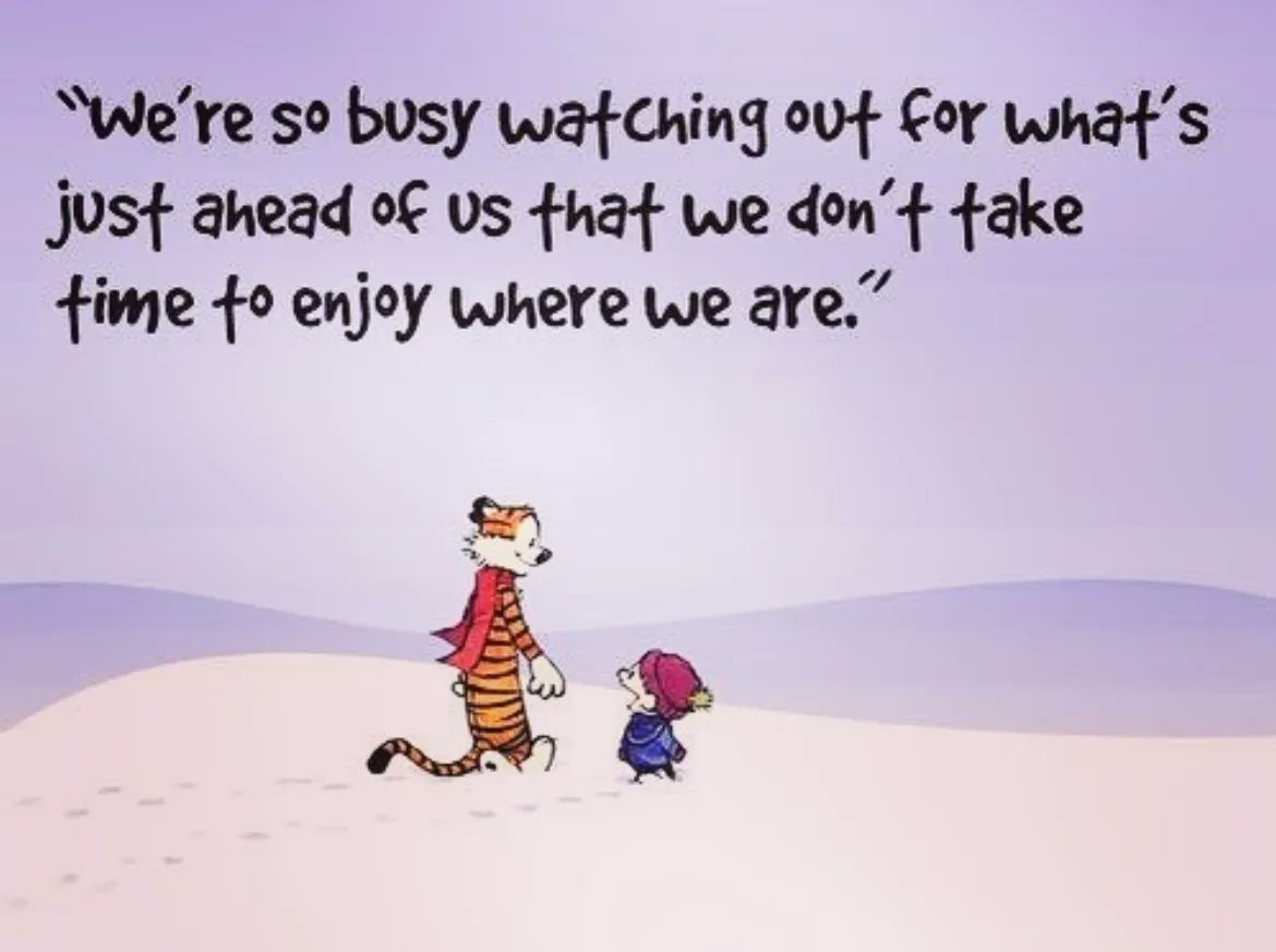 Calvinn_Hobbes's tweet photo. Always remember this 🙌🏻 #CalvinandHobbes https://t.co/w6DP0FNybr