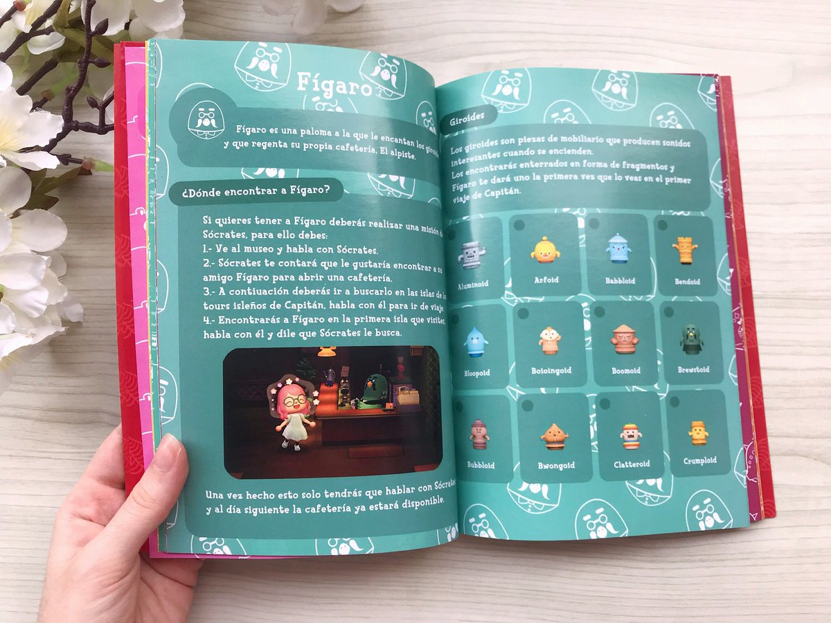 Canelita tweet media