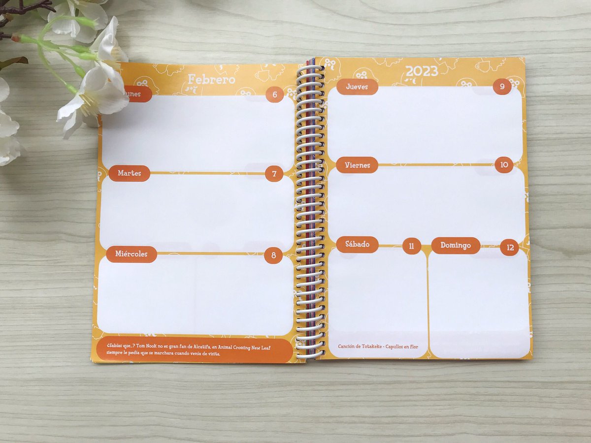 Canelita tweet media