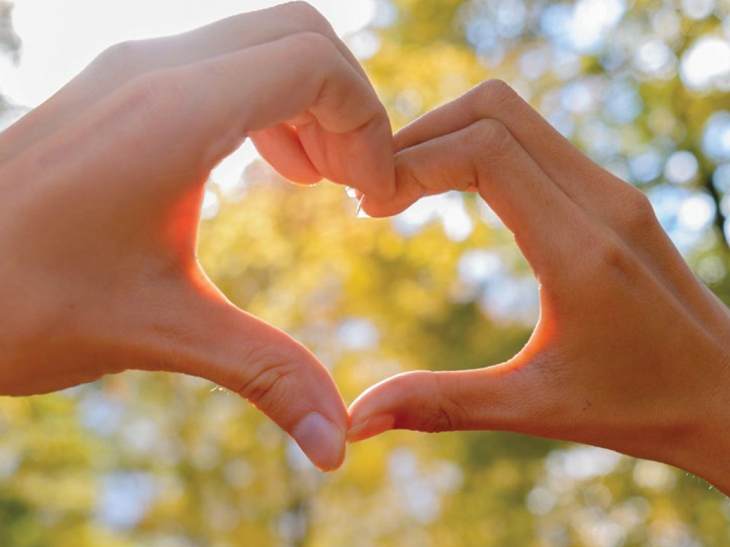 TCTrail's tweet image. On #WorldKindnessDay, let's be kind to ourselves, to others and to the land we inhabit.