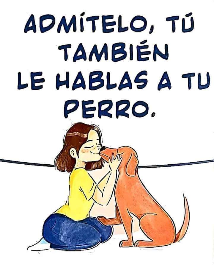Sabueson's tweet photo. Quien no 

Créditos al autor del dibujo https://t.co/P1eYUg2Y1d