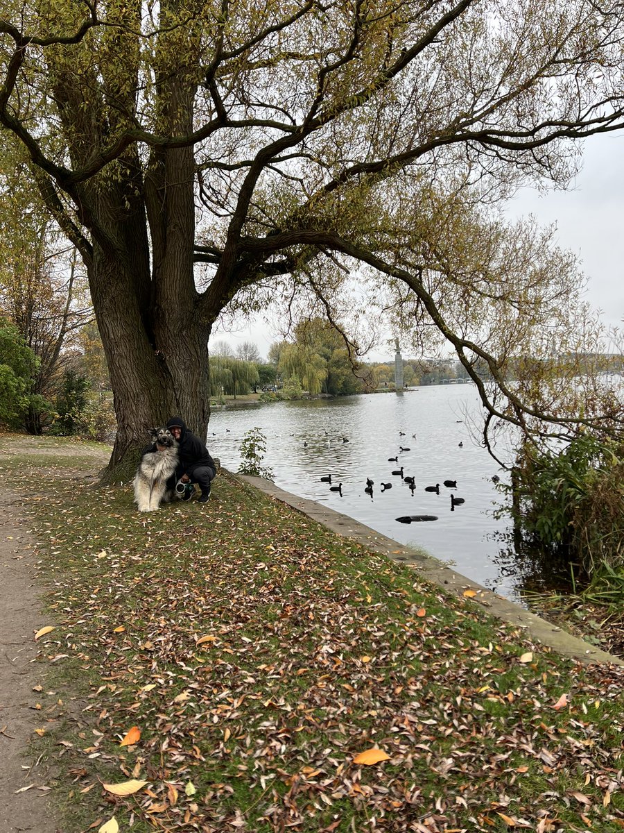 Had to stop for a walk in Hamburg on our way to Denmark. Beautiful as always