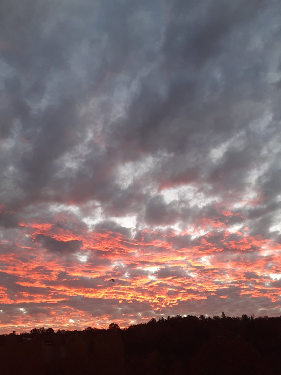 Manu15Mp's tweet photo. Questa mattina 😍 https://t.co/6KUDELY0nf