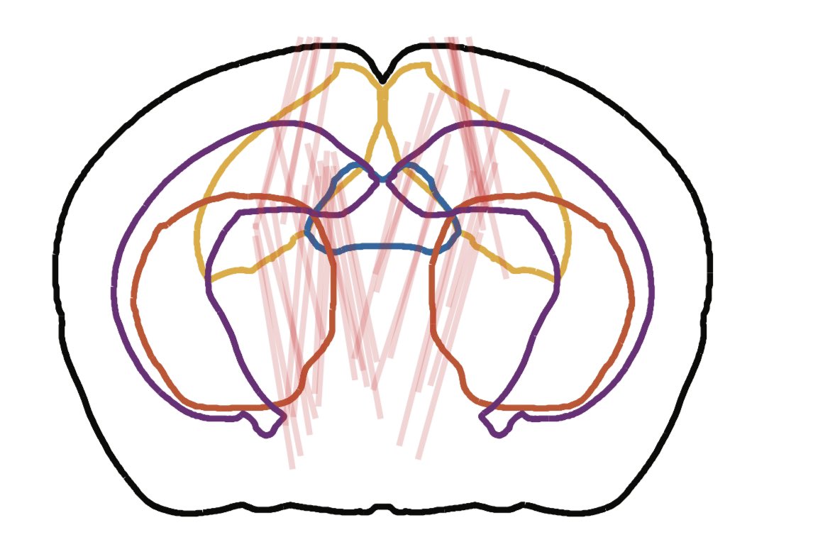 Anna Lebedeva (@neurvanna) on Twitter photo If you’re interested in decision making, I would love to talk to you and share our results on “Neural correlates of reinforcement learning across the brain” 🧠🐭
Please come by our poster 234.08 this afternoon at SfN! #SfN2022 #SfN with <a href="/kennethd_harris/">Kenneth D Harris</a> <a href="/kevinjmiller10/">Kevin Miller</a> and Jin Oh If you’re interested in decision making, I would love to talk to you and share our results on “Neural correlates of reinforcement learning across the brain” 🧠🐭
Please come by our poster 234.08 this afternoon at SfN! #SfN2022 #SfN with <a href="/kennethd_harris/">Kenneth D Harris</a> <a href="/kevinjmiller10/">Kevin Miller</a> and Jin Oh