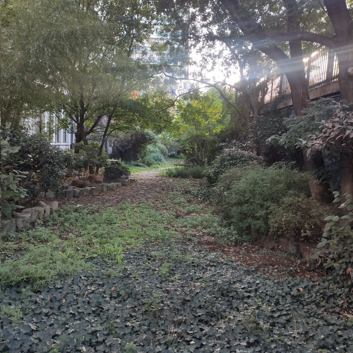 BoubaCie's tweet photo. Le paradis de #biodiversité de nos #chatslibres de "La Voûte" #Paris13
Grâce à Pierre et Catherine
Quel bonheur https://t.co/NNe5R0nLZK
