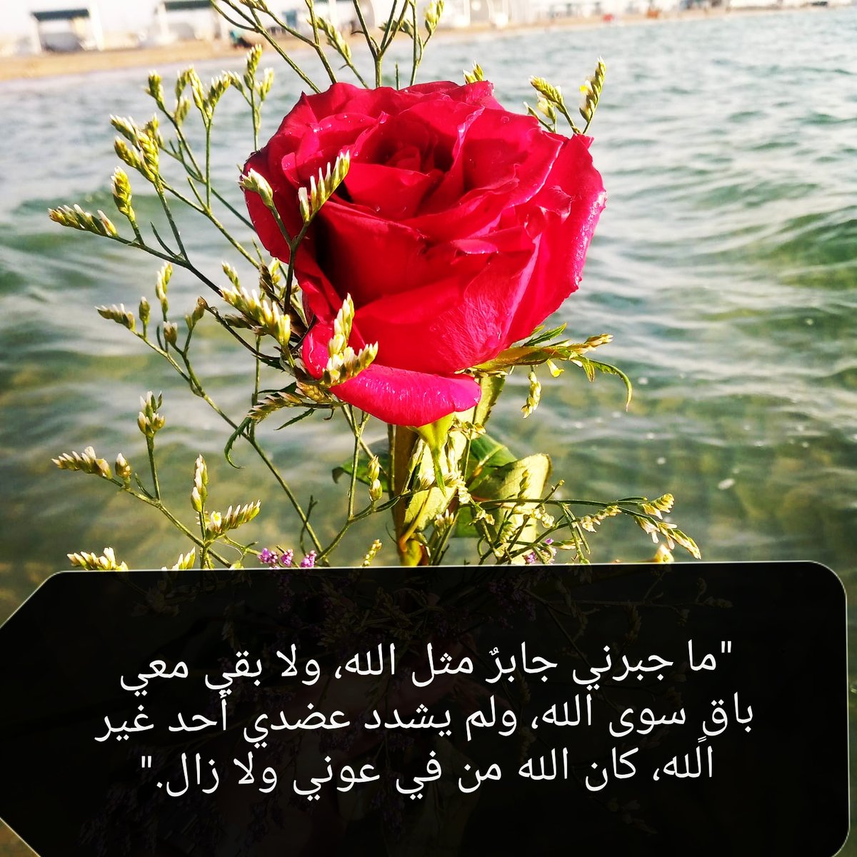 "ما جبرني جابرٌ مثل الله، ولا بقي معي باقٍ سوى الله، ولم يشدد عضدي أحد غير الله، كان الله من في عوني ولا زال."