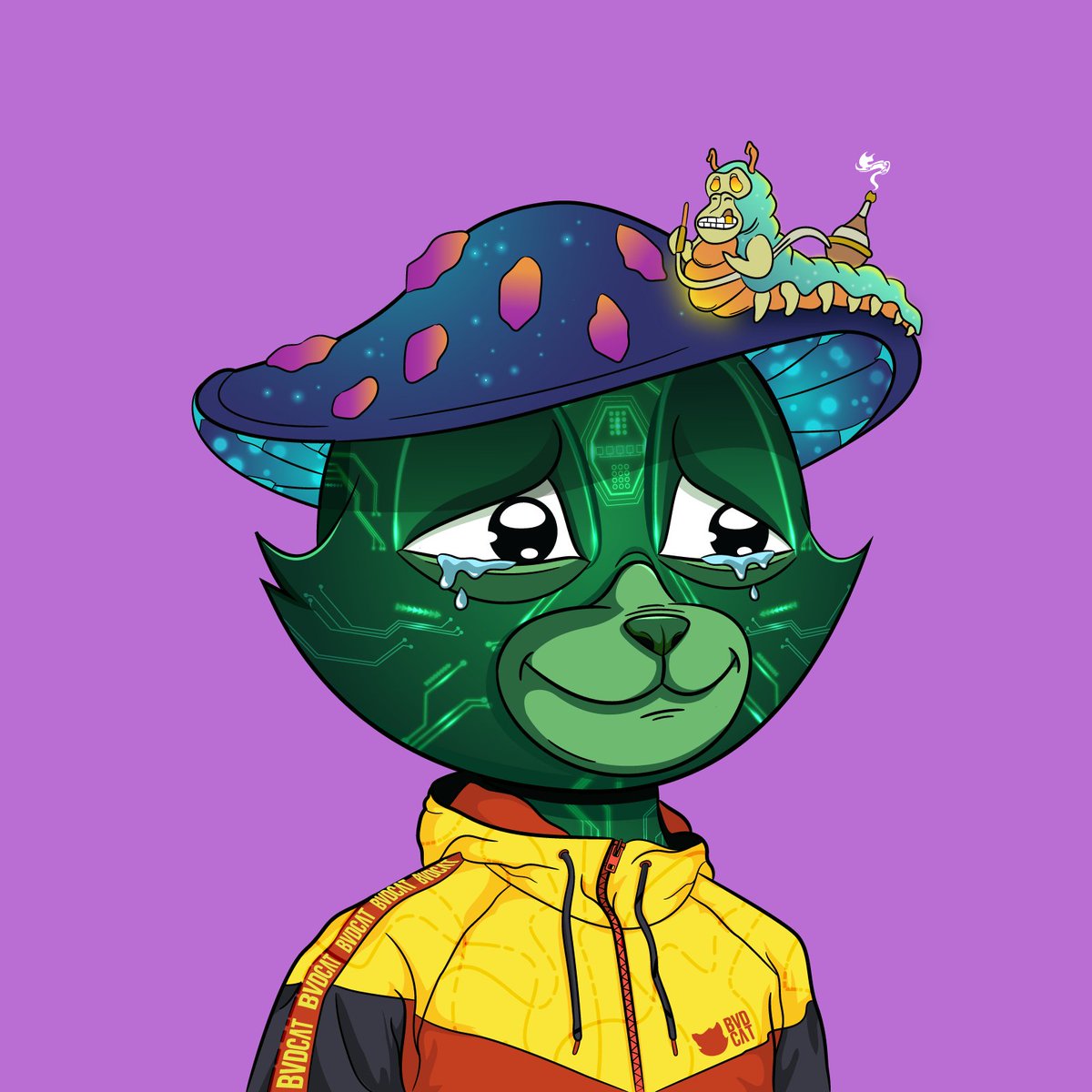 I thought I was more of a Dogg person, but looking at my portfolio proves something different.... just bought my first <a href="/BVDCAT_/">BVD</a> and I am pretty happy with it! 

Does cats follow each other?