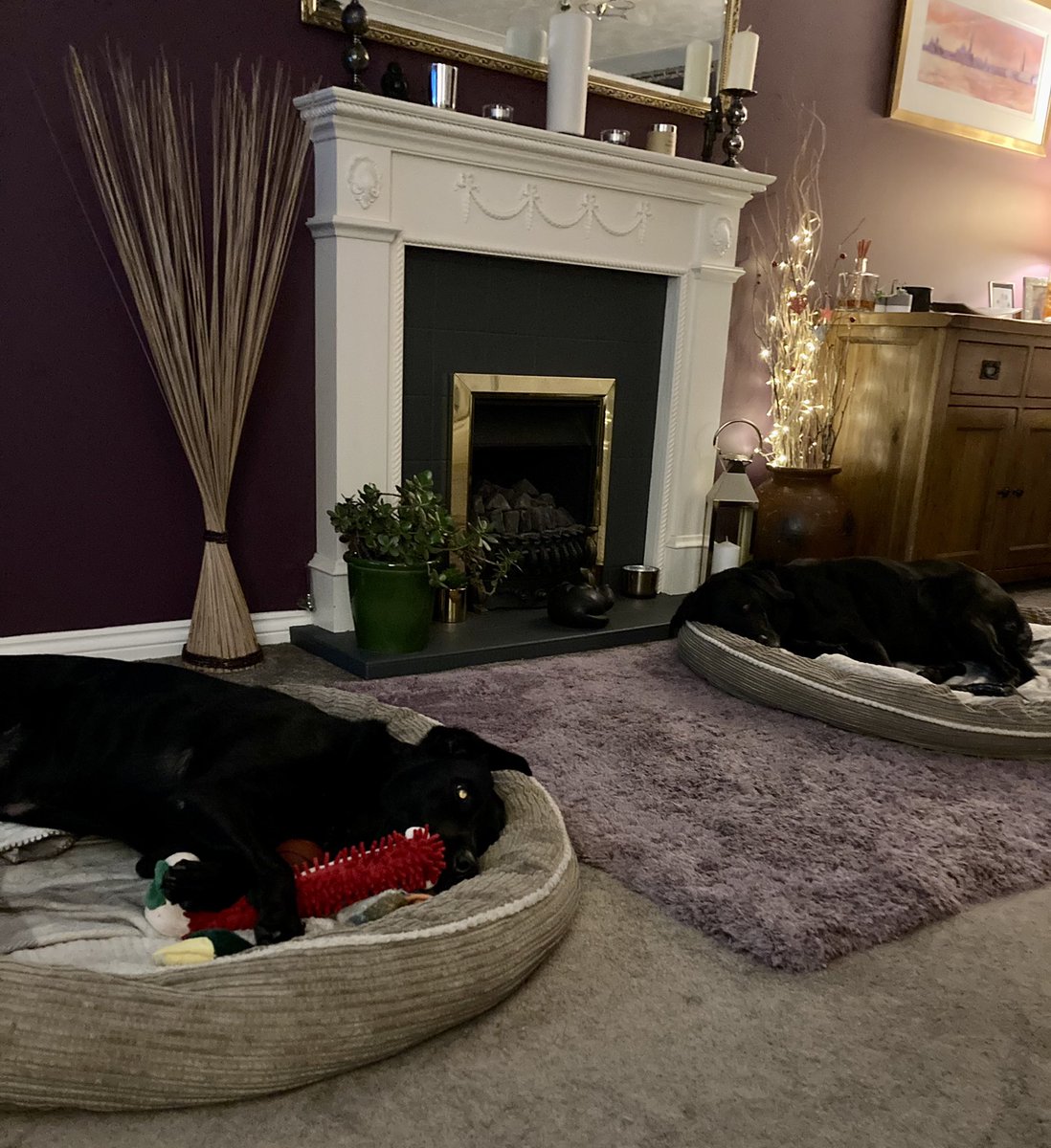 GHS015's tweet photo. Apparently it’s very tiring being a Labrador, who knew? https://t.co/pkJiTNsHBx
