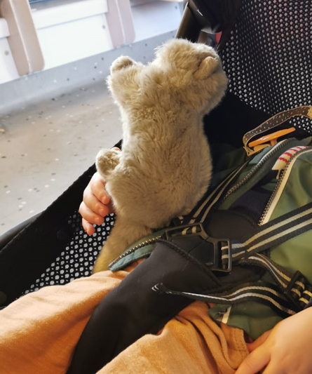 MBellec's tweet photo. Je pensais pas faire un jour appel à #SosDoudou mais...
J'ai oublié dans le train Quimper-Paris (qui arrivait à Montparnasse à 17h12 ce dimanche) ce chaton en peluche gris... L'avez-vous trouvé ? Si oui, contactez-moi, vous seriez des amours <3 https://t.co/kI9UGQKLcb
