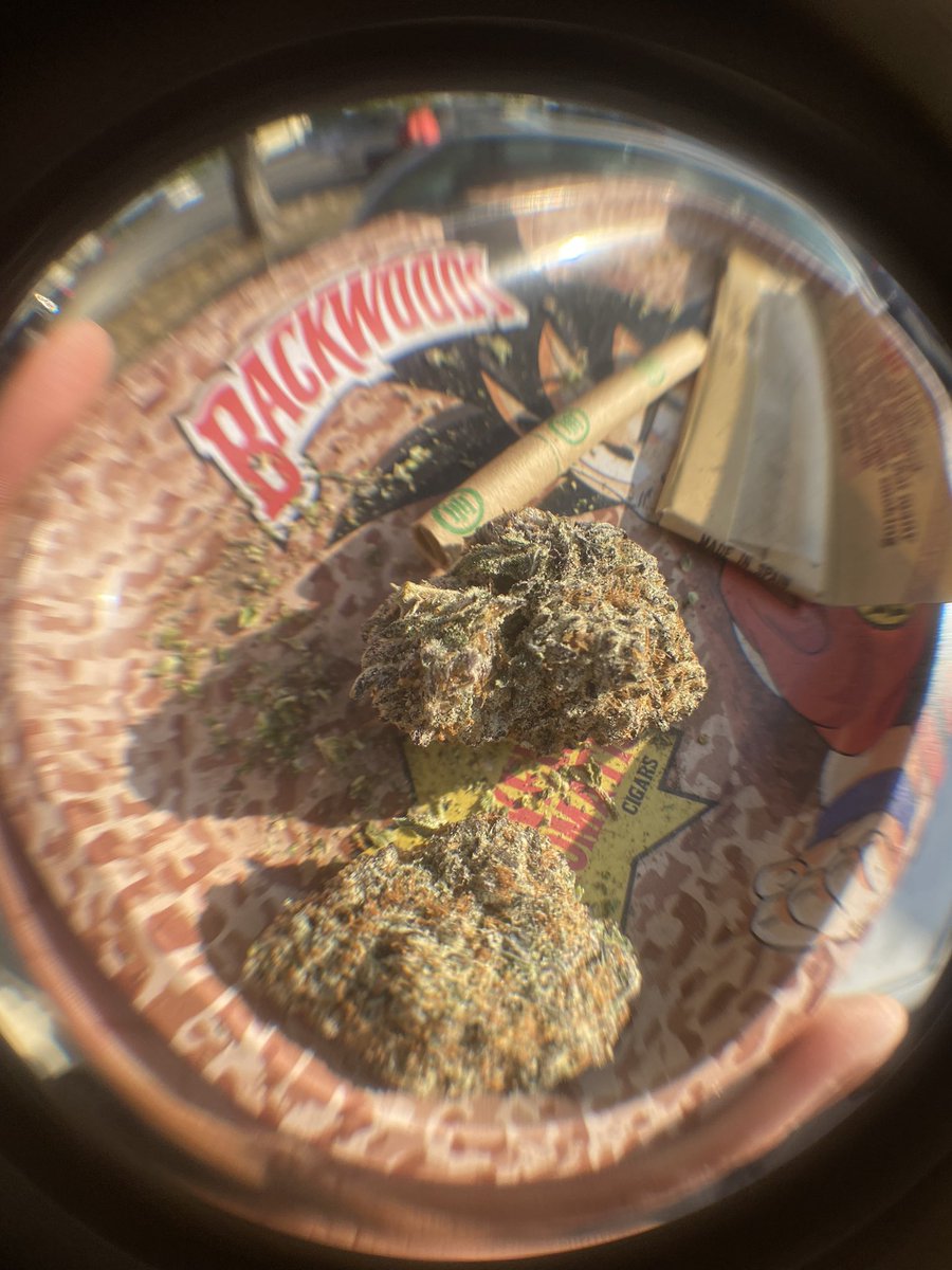 420420stuff's tweet photo. Skater pic dude 🛹 https://t.co/bxu90NGUaL