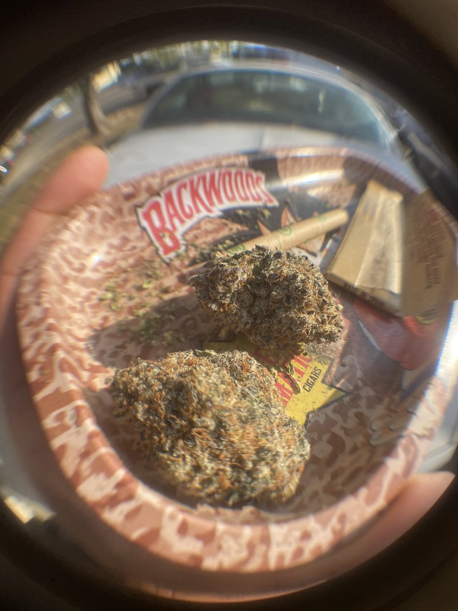 420420stuff's tweet photo. Skater pic dude 🛹 https://t.co/bxu90NGUaL