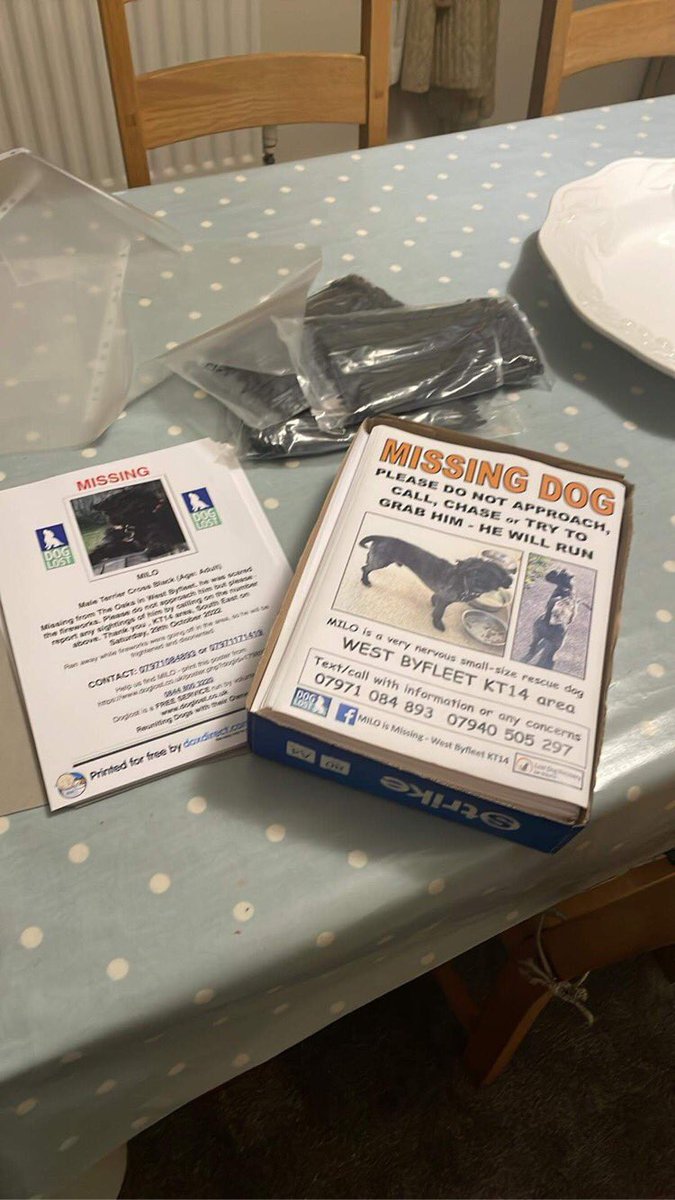 RecoveryDog's tweet photo. ❌URGENT ALERT❌
MILO - missing 29/10 #WestByfleet #Surrey UK #KT14
Spooked by fireworks 😢
‼️PLEASE KEEP EYES PEELED ‼️
🚫DO NOT FOLLOW/GRAB/CHASE/PRESSURE
☎️ PLEASE CALL IF SPOTTED 🙏🏻
https://t.co/C14gRUtjQW
#missingdog #lostdog #dogsoftwitter #RescueDog #help #FindMe #dog https://t.co/tehbQq3oWx
