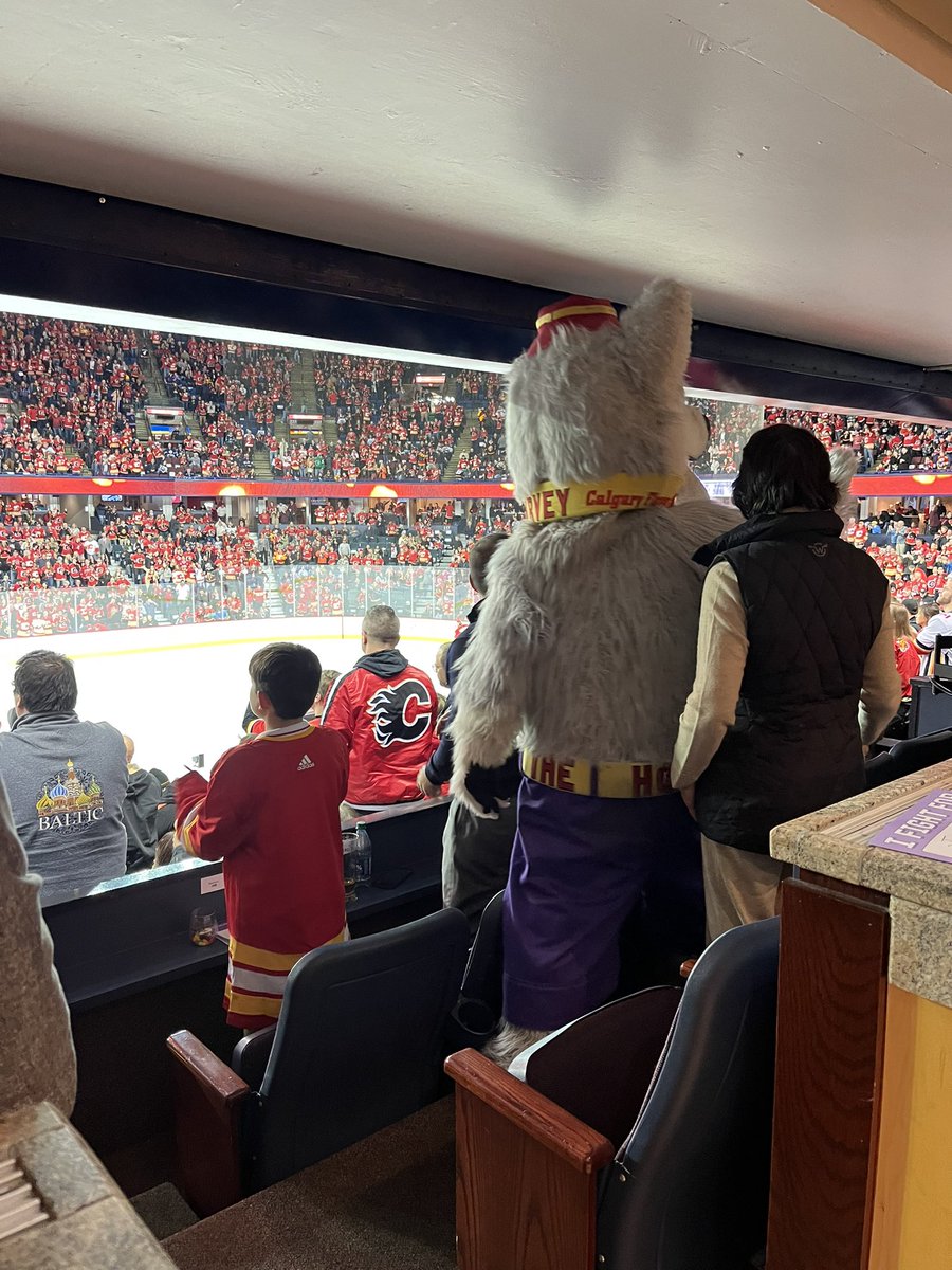 hockey_tr's tweet photo. Fun to take in the weekend here in Calgary Lanny Toast/Roast and a big Flames win. I had a nice seat curtesy of the Flames Owners. @NHLFlames @AlumniFlames @NHLAlumni @CPKidsandFamily @curecancerfnd #harveythehound #flameswin #slumpbuster https://t.co/ovW1sAuY4p