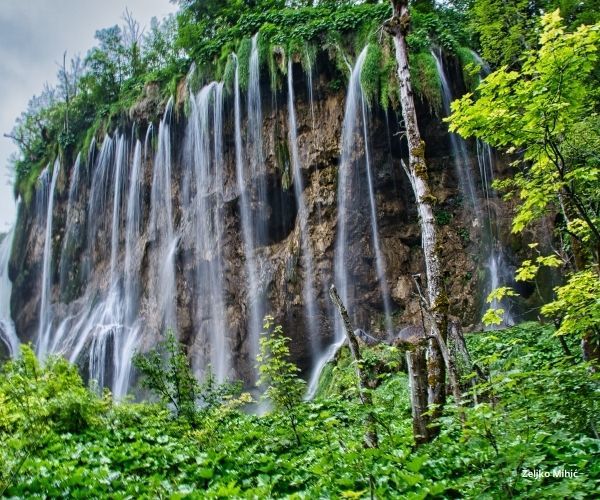 10 top tips to get the most from your visit to Plitvice Lakes National Park - A Luxury Travel Blog buff.ly/3zxixdW #luxurytravel
