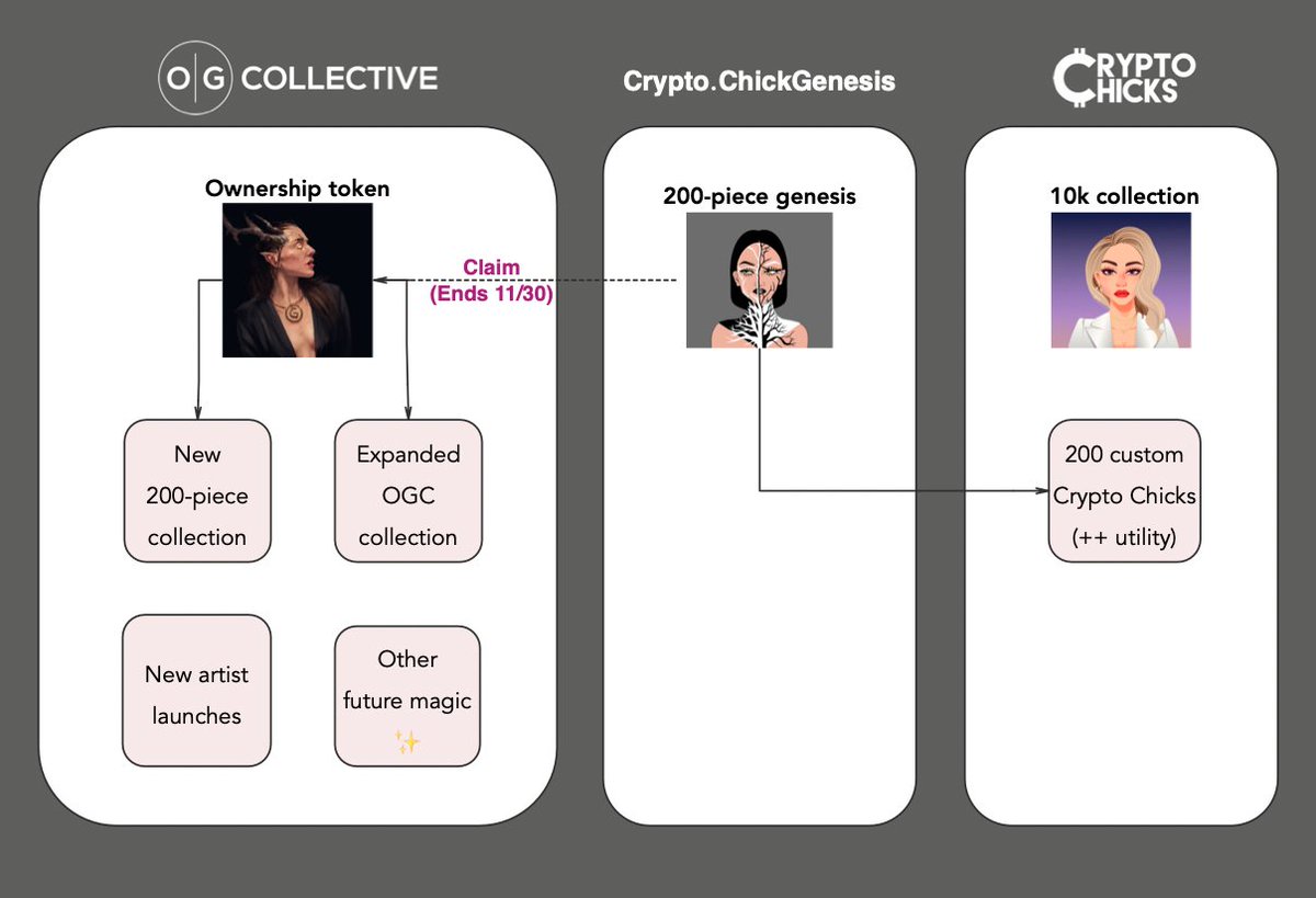 The OG Collective tweet media