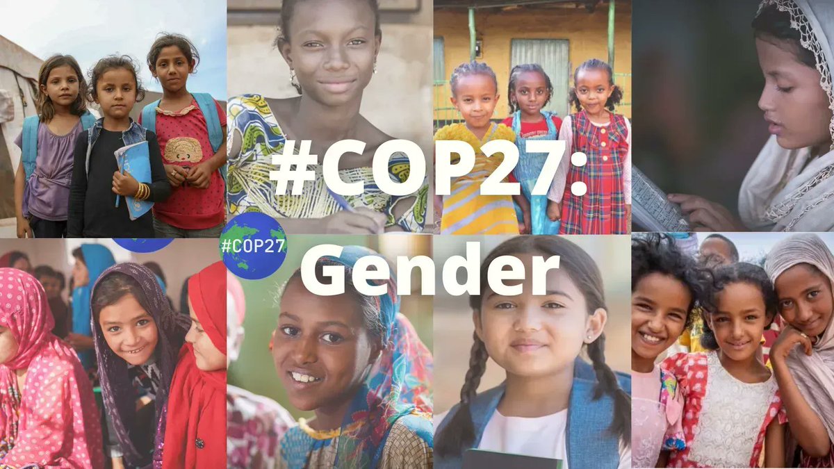 Today's <a href="/UNSDSN/">SDSN</a> #COP27 theme: #Gender! 

The time is now to accelerate our support for women and girls as they lead the way to the achievement of the global #SDGs. Read more from Sima Bahous (<a href="/unwomenchief/">Sima Bahous</a>) in <a href="/SDG_Action/">SDG Action</a> 👉 bit.ly/3zMdsPG

#girlpower #WomensRights