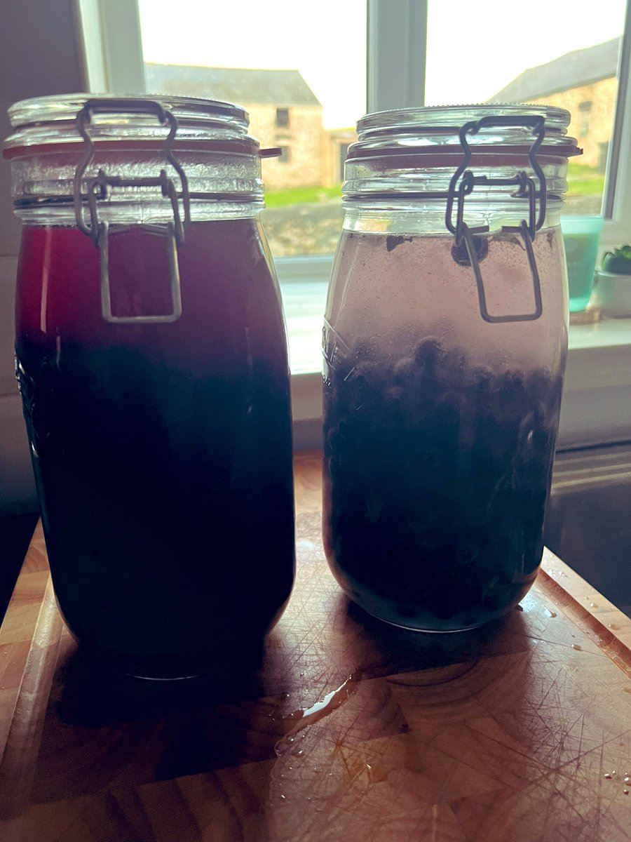 teah34's tweet photo. So it's time to put the fruits to work sloe gin and bramble gin one is going  away for quite a while whilst the other will be put to the rest in about 4 weeks #foreging #sloegin #bramblegin #autumfruits #christmascocktails https://t.co/DxSlRUDwwE