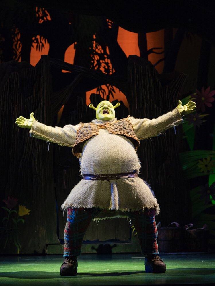 TrafficConeJeff's tweet photo. Watching Shrek the musical, and feeling as if the music is better then a majority of modern music today https://t.co/ot9L5fBTwC