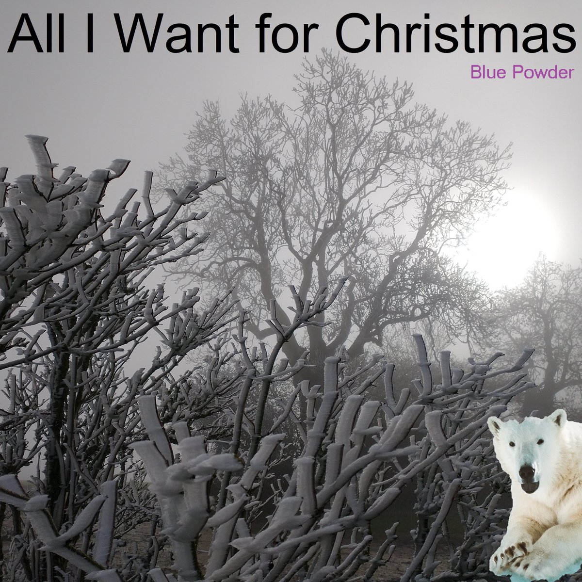 'All I Want for Christmas'🎶releases 21st November from the forthcoming alternative Christmas🎄album 'I Got You Nothing (for Christmas)' #newmusic #indie #christmas