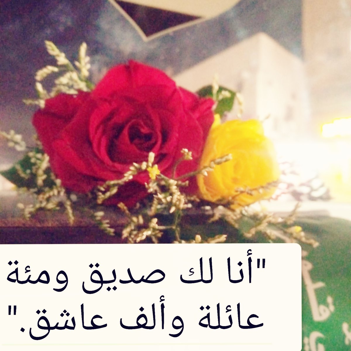 "أنا لك صديق ومئة عائلة وألف عاشق."