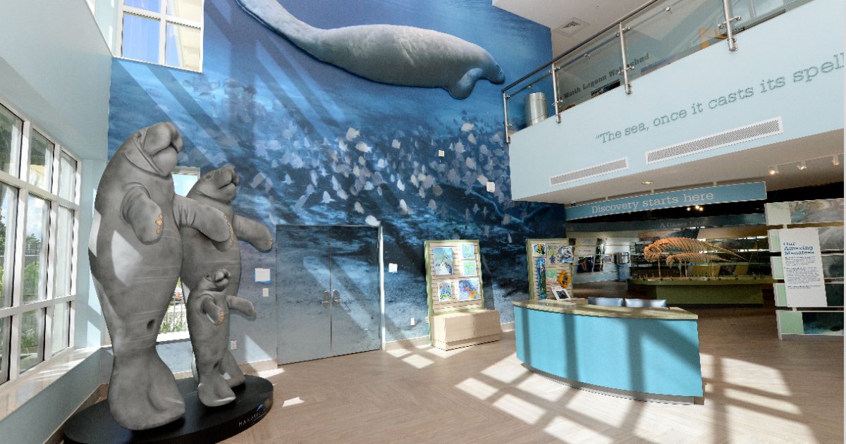WPTV's tweet photo. FPL's Manatee Lagoon kicks off manatee season with tons of fun activities!  https://t.co/bLmRlWPeqv https://t.co/M0tz0RnDVH