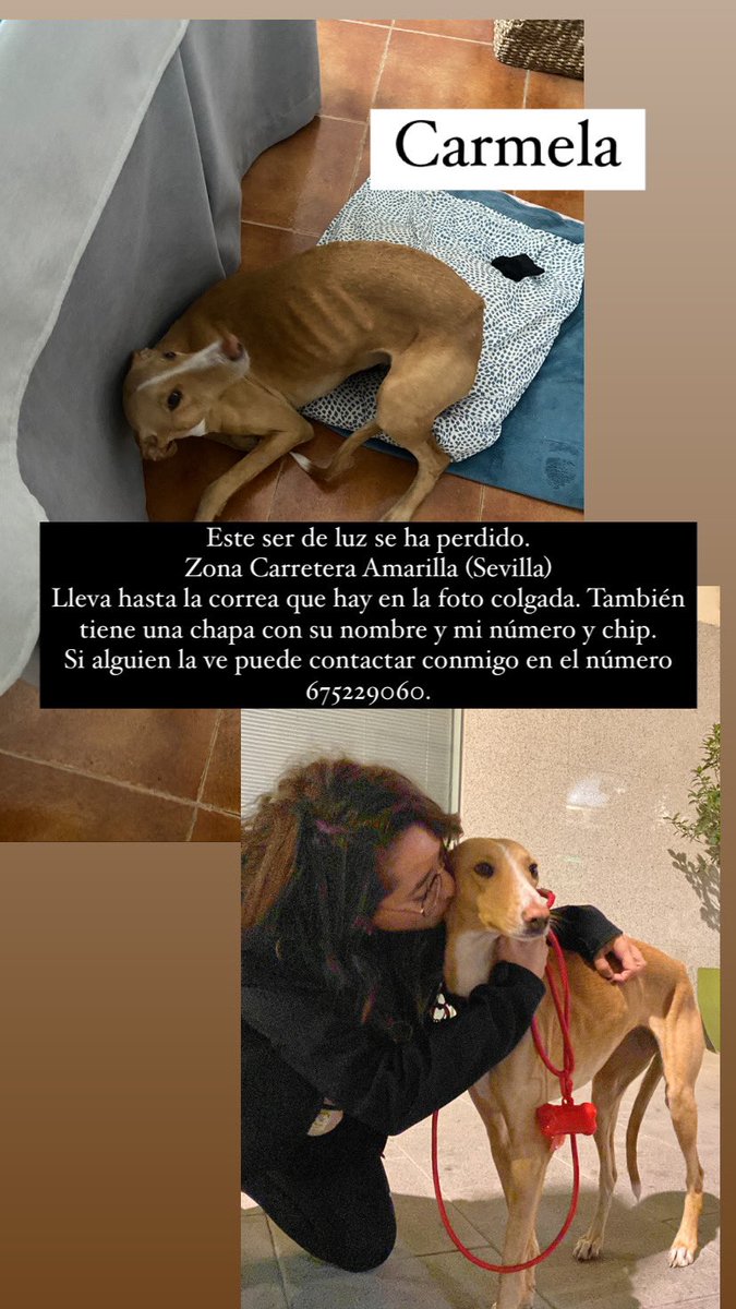 Margui RuizDeCastro tweet media