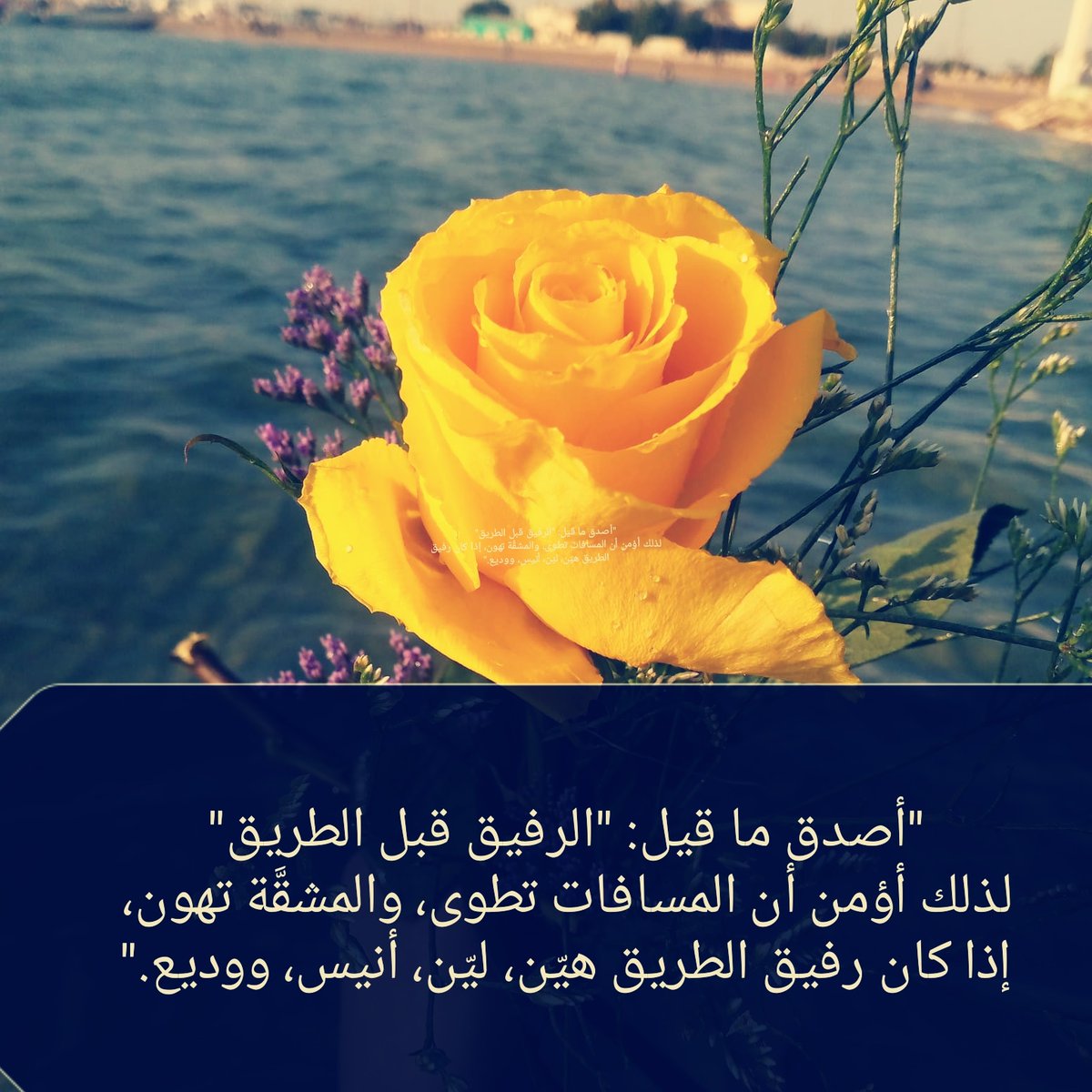 "أصدق ما قيل: "الرفيق قبل الطريق"
لذلك أؤمن أن المسافات تطوى، والمشقَّة تهون، إذا كان رفيق الطريق هيّن، ليّن، أنيس، ووديع."