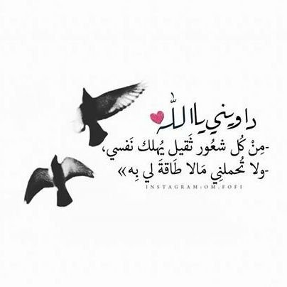 F.A (@fa0_0z) on Twitter photo #مساء_الخير ..💚
اللهم لا أسألك بجرأةلسان عصاك
ولكن أسألك بيقين قلب رجاك
أن تغفرلى
عصيانى عندنسيانى
ونسيانى حين إنشغالى
وإنشغالى حين إبتلائى
وإبتلائى حين تقصيرى
فتجاوز وأغفر..فإنك أنت الأعز الأكرم
<a href="/Waleedvip_/">وليد العتيبي 🇸🇦</a>
<a href="/Mr_qleess/">الشيخ / غليص ولد رماح</a>
<a href="/zv3qz/">نهى علوان ♥️حسابي 🌷2🌺للدعم والاعلان</a>
@Tr_1611
<a href="/8Aiin/">🍒عینی Ch™🍒</a>
<a href="/2fs_0/">فارس . الاداره العليا لقروبات الفوارس</a>
<a href="/asq56_/">#أبو_أيمن</a>
<a href="/HamstAlm/">همسة آلم</a>
<a href="/OsamaMa61/">Osama Mahmoud</a> #مساء_الخير ..💚
اللهم لا أسألك بجرأةلسان عصاك
ولكن أسألك بيقين قلب رجاك
أن تغفرلى
عصيانى عندنسيانى
ونسيانى حين إنشغالى
وإنشغالى حين إبتلائى
وإبتلائى حين تقصيرى
فتجاوز وأغفر..فإنك أنت الأعز الأكرم
<a href="/Waleedvip_/">وليد العتيبي 🇸🇦</a>
<a href="/Mr_qleess/">الشيخ / غليص ولد رماح</a>
<a href="/zv3qz/">نهى علوان ♥️حسابي 🌷2🌺للدعم والاعلان</a>
@Tr_1611
<a href="/8Aiin/">🍒عینی Ch™🍒</a>
<a href="/2fs_0/">فارس . الاداره العليا لقروبات الفوارس</a>
<a href="/asq56_/">#أبو_أيمن</a>
<a href="/HamstAlm/">همسة آلم</a>
<a href="/OsamaMa61/">Osama Mahmoud</a>