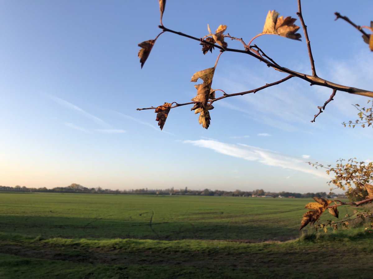 ValmanVal's tweet image. Explored the Colne Valley Iver walk. Views in the sun were beautiful. Did you know there is a brass rubbing trail at Swan Meadows?