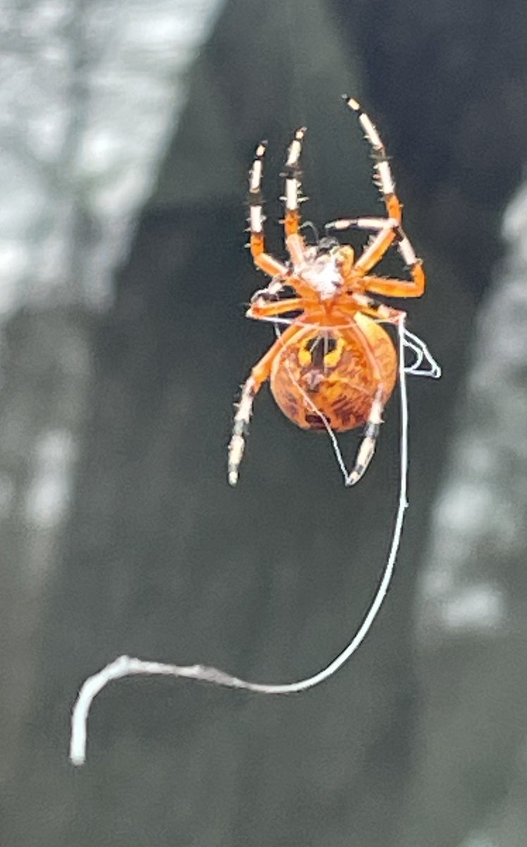 Julia Workman tweet media