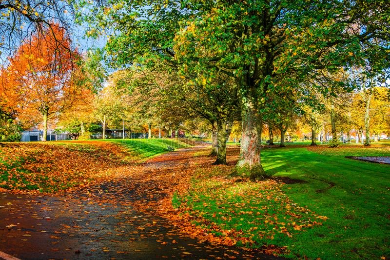 LouSteel13's tweet photo. If you fancy getting out and going about in the gorgeous Ayrshire countryside. This could be the perfect post for you. There’s still time to apply for our SLT Community Lead post https://t.co/xAjVOBSLX7 https://t.co/kIw30w2EOm