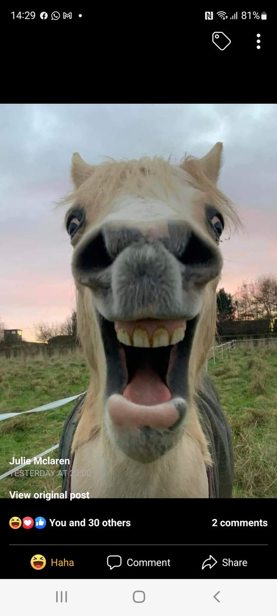 I BLOODY LOVE SUNDAYS, ME....
😆😆😆