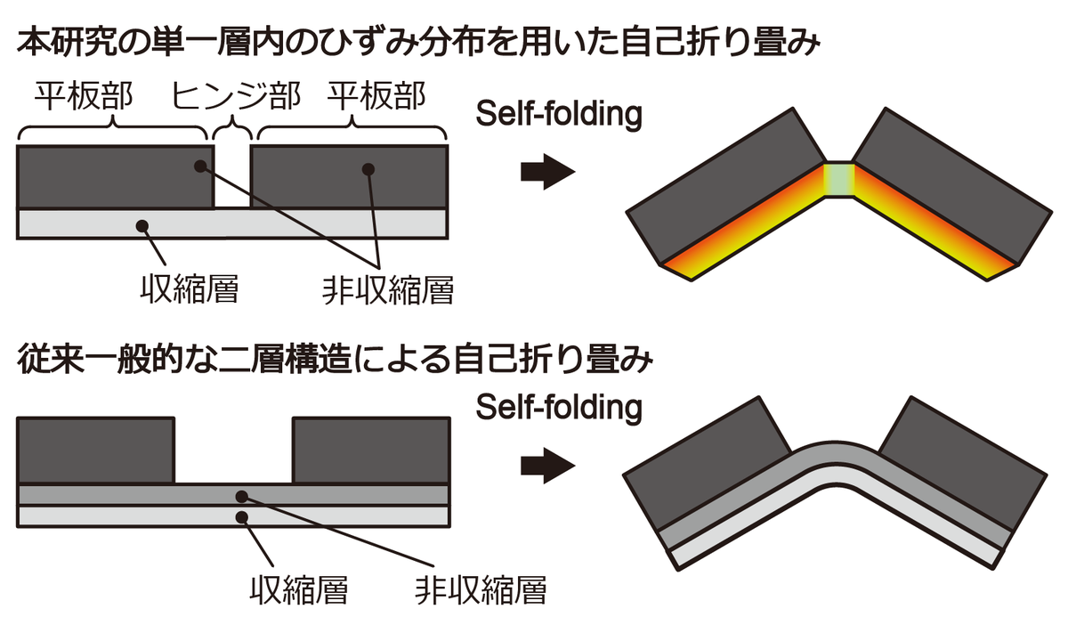 IwaseLab_Waseda's tweet photo. [11/14発表] 講演番号14P5-PN-29，「熱溶融積層3Dプリンタを用いた単層ヒンジ構造の自己折り畳み」田久健人，岩瀬英治
従来「自己折り畳み」は「二層構造」で行うのが主流でしたが，本研究は「単一層」で行うという革新的なアプローチです．#マイクロ・ナノ工学シンポ #センサシンポ #FT2022 https://t.co/HT8mjcgiTk