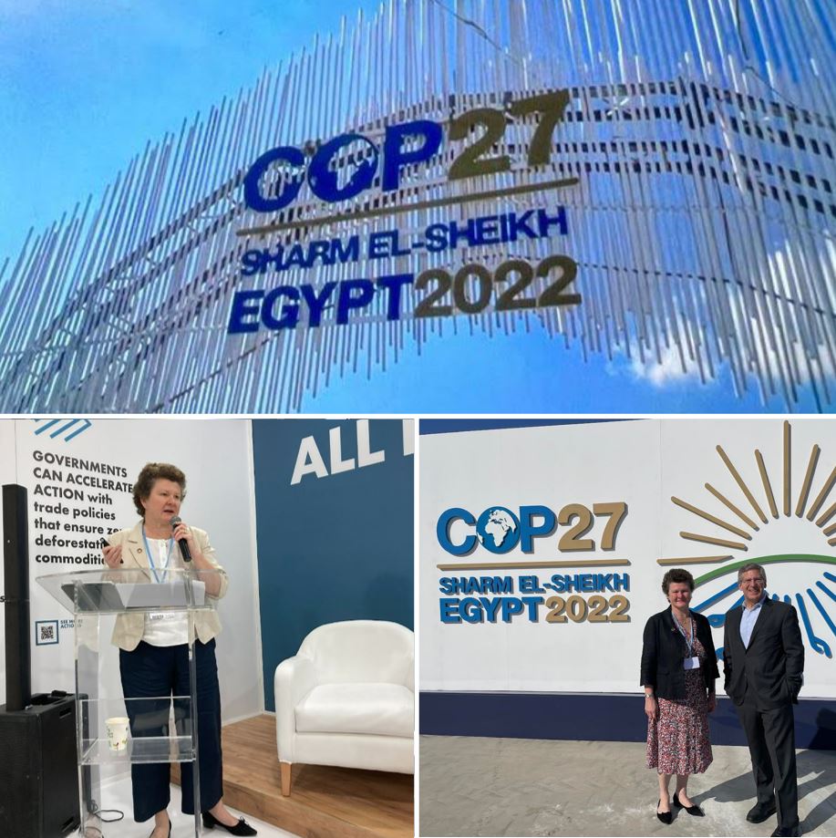 Over the past week <a href="/COP27P/">COP27</a>, I've enjoyed great discussions on a wide range of climate-related topics.

The focus has been on actions to make faster progress in achieving #netzero goals through a just transition and to adapt to a warming planet. 

linkedin.com/posts/emma-cox…

#COP27