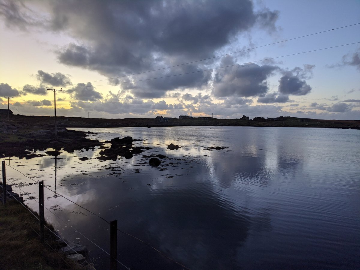 kashcahs's tweet photo. Gentle twilight in evening hours we spent wandering in hopefully search of otter sightings (who were ultimately too elusive and were heard but never seen...bastards). https://t.co/IQrqKgz5wj