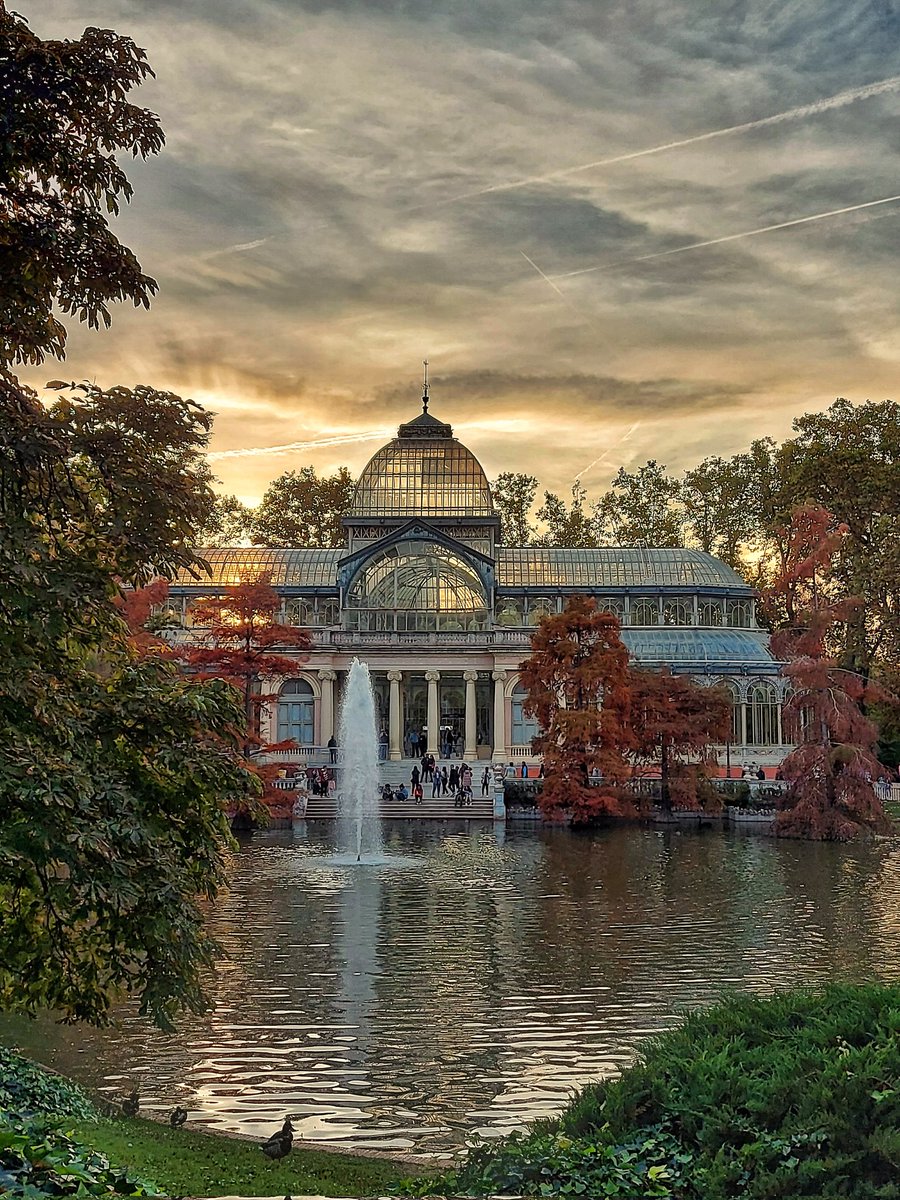 Tardes de oro

#Madrid #ElRetiro