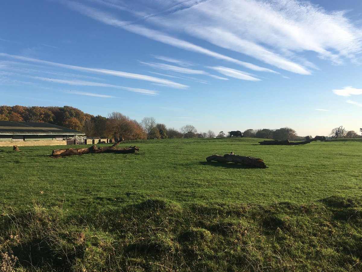 BTCsheep87's tweet photo. @wowbitcoinrocks
 I’ve just placed the ‘Bitcoin doesn’t have inflation’ sticker in the Gent’s toilet at Whipsnade Zoo (England)… granted it’s not the most scenic view from a urinal but when you leave the loo, there are lots of cool animals to see. #SpotTheRhino #BitcoinRocks https://t.co/9ywxfD3lMk