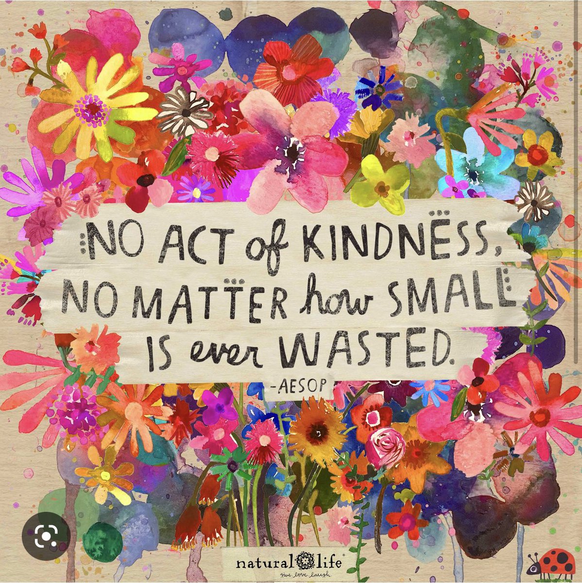 MrsCElementary's tweet photo. Happy World Kindness Day! Remember that even the smallest act of kindness if never wasted. #WorldKindnessDay https://t.co/b7z1ytv5fj