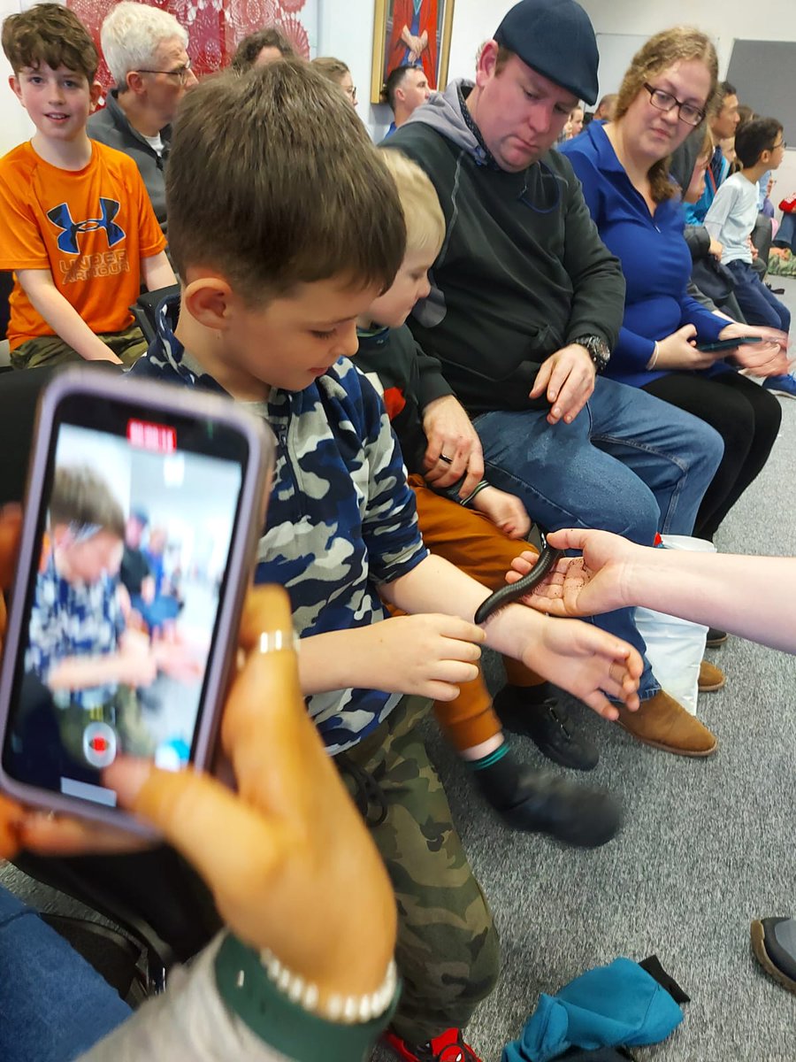 galwayscience's tweet photo. Discovering all creatures, big and small at the #bugdoctor at #galwayscience exhibition today https://t.co/qjINrV3M85