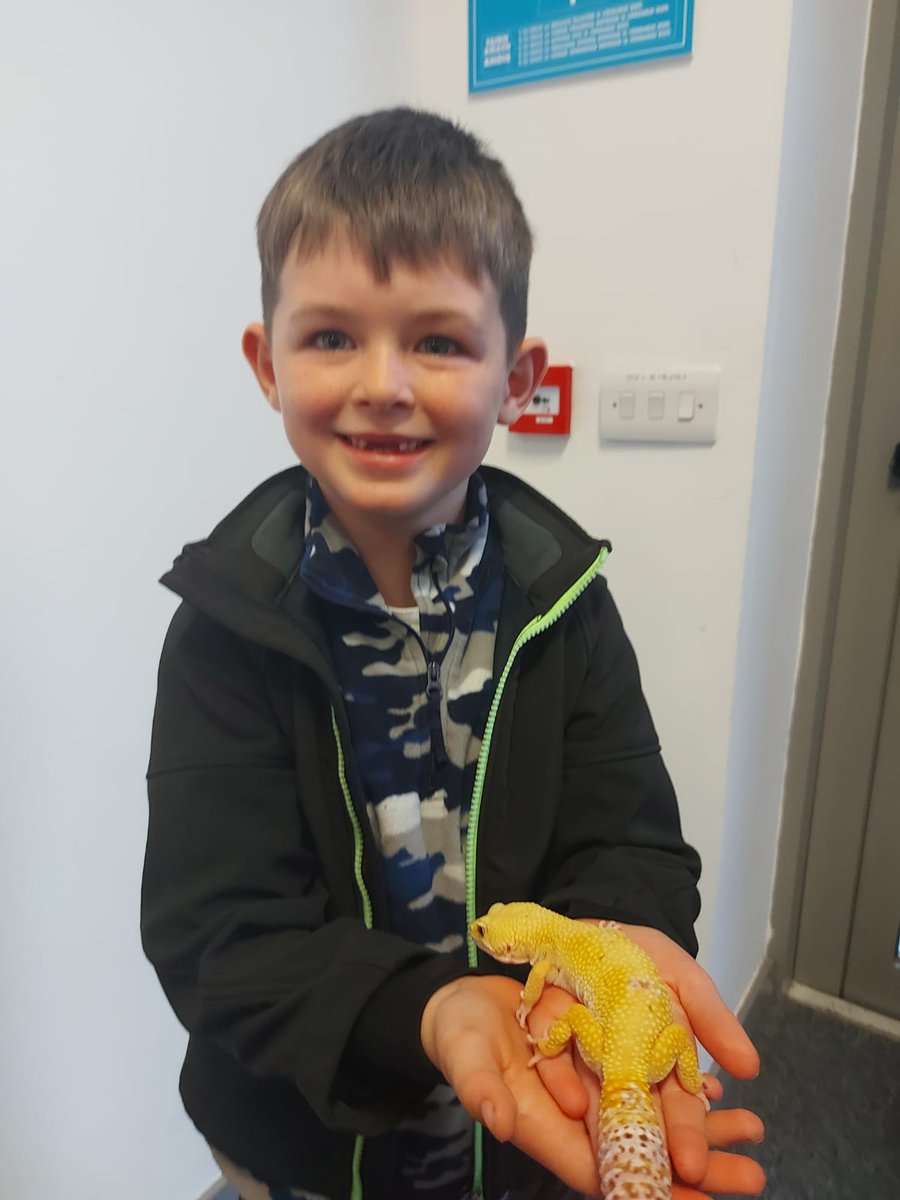 galwayscience's tweet photo. Discovering all creatures, big and small at the #bugdoctor at #galwayscience exhibition today https://t.co/qjINrV3M85