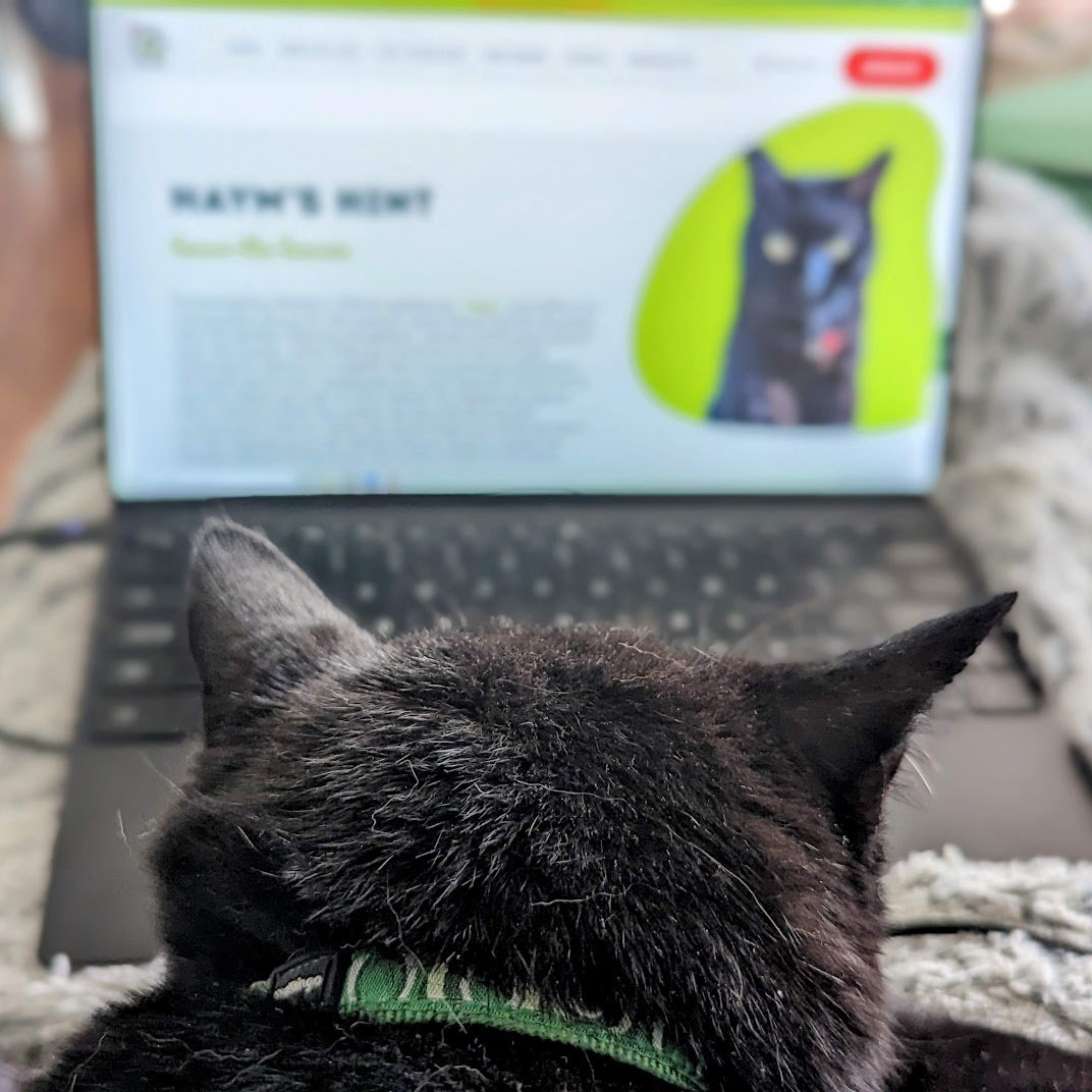 spokescat's tweet photo. I am writing a new column for the @smattersva website: Haym's Hints! Check it out at the bottom of our homepage:

https://t.co/feGQvUojdU

#SpokescatSpeaks #SustainabilityMatters #CatsofTwitter https://t.co/ek6PZ3XBzo